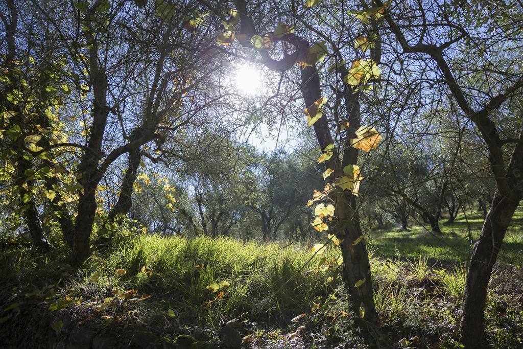 Вилла Fattoria Il Milione Agriturismo Флоренция Экстерьер фото